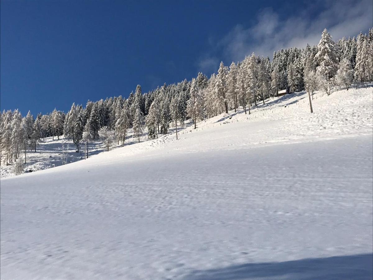 Wohlfuehlpension Kreischberg Inklusive Murau Sommergaestecard Ab 2 Naechte Sankt Georgen ob Murau Kültér fotó