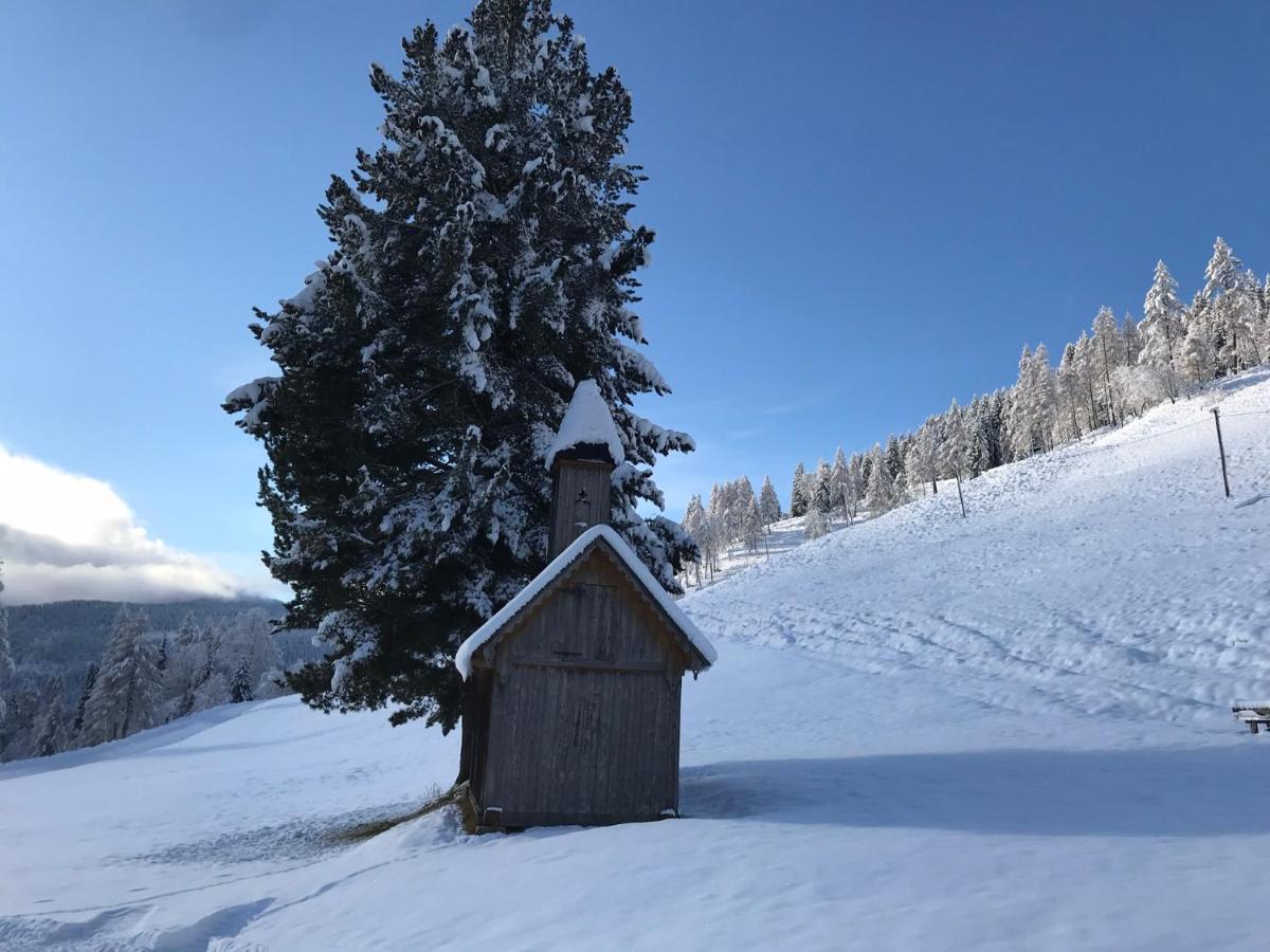 Wohlfuehlpension Kreischberg Inklusive Murau Sommergaestecard Ab 2 Naechte Sankt Georgen ob Murau Kültér fotó