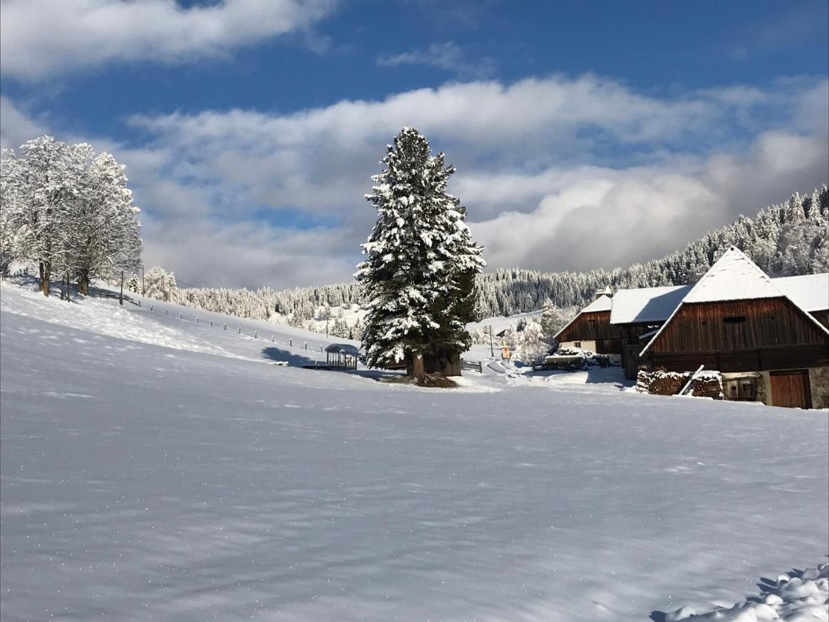 Wohlfuehlpension Kreischberg Inklusive Murau Sommergaestecard Ab 2 Naechte Sankt Georgen ob Murau Kültér fotó