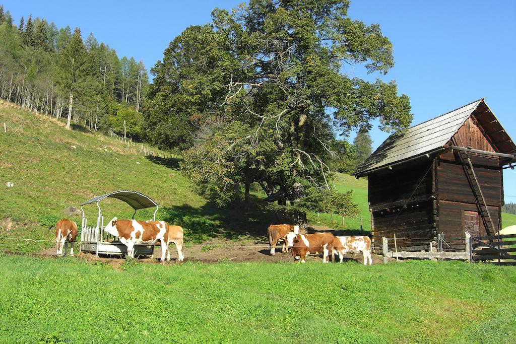 Wohlfuehlpension Kreischberg Inklusive Murau Sommergaestecard Ab 2 Naechte Sankt Georgen ob Murau Kültér fotó
